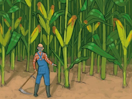 Τα μεταλλαγμένα έφτασαν στο πιάτο&nbsp;μας…