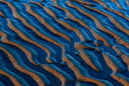 Μια νέα φάση του παγκόσμιου&nbsp;κινήματος