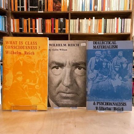 Η περιπέτεια του Βίλχελμ&nbsp;Ράιχ