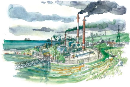 Καταστροφή περιβάλλοντος και&nbsp;οικοσοσιαλισμός