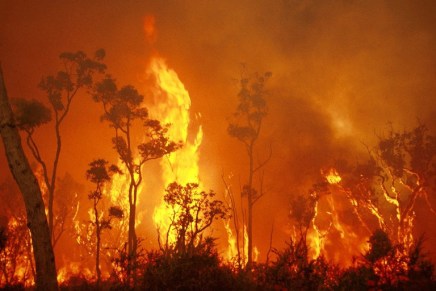Αυστραλία – φωτιές: Ένα κλιματικό&nbsp;άλμα