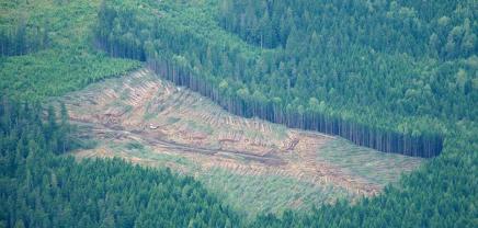Πανδημία και οικολογική&nbsp;κρίση