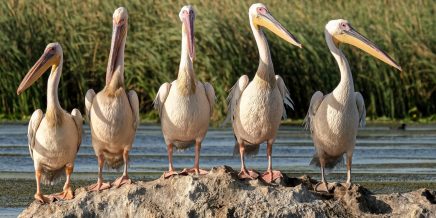 Για το κλίμα, για μας και τα παιδιά μας: Τώρα στη&nbsp;μάχη!
