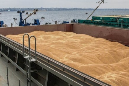 Κυρώσεις και διατροφική&nbsp;κρίση